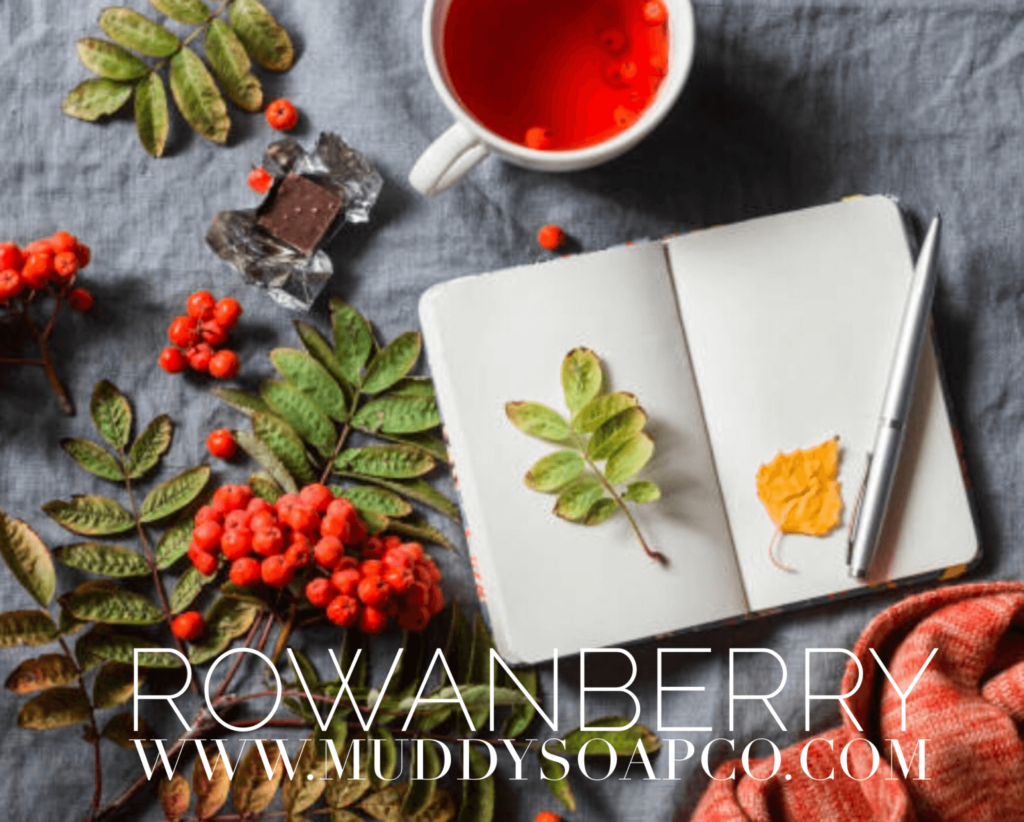 Rowanberry