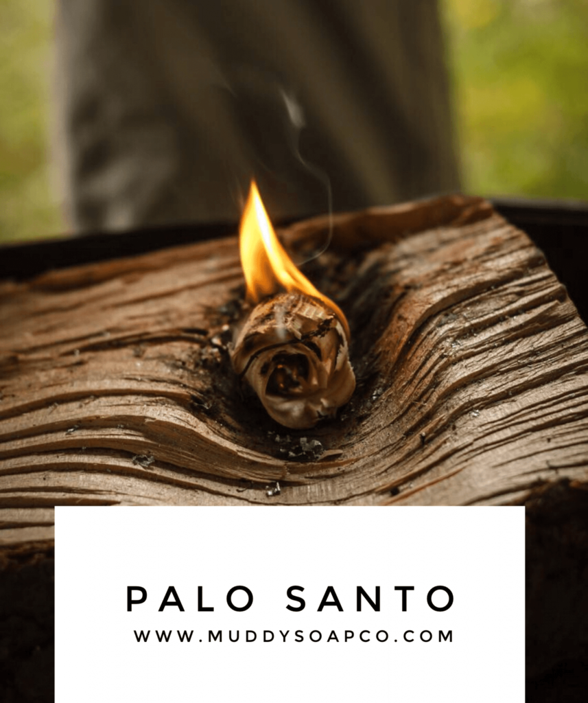 Palo Santo