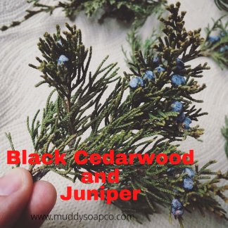 Black Cedarwood & Juniper