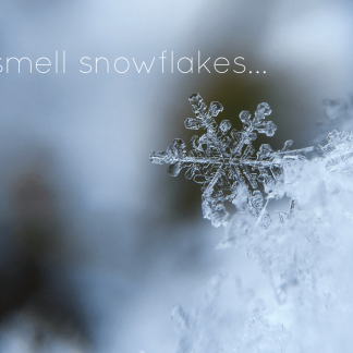 I Smell Snowflakes...
