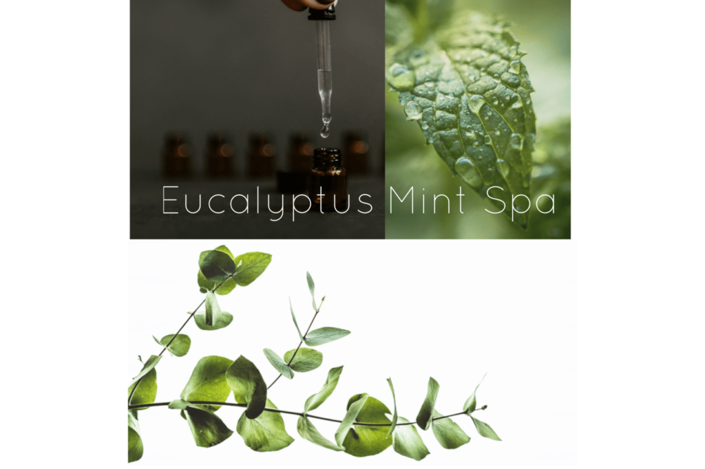 Eucalyptus Mint Spa