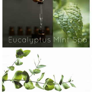 Eucalyptus Mint Spa