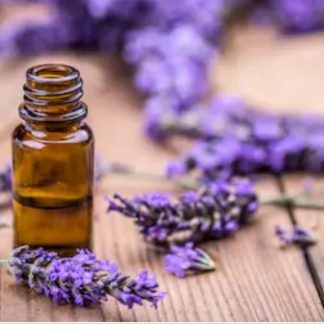 Lavender 40/42 Essential Oil
